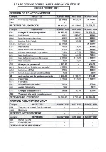Budget Primitif 2021