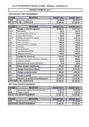 BUDGET PRIMITIF 2014