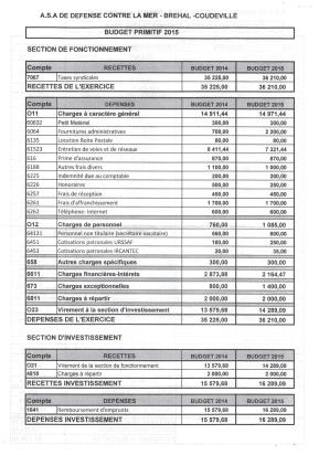 BUDGET PRIMITIF 2015