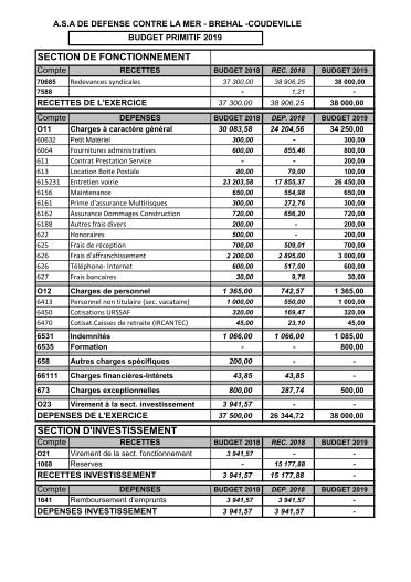 BUDGET DEFINITIF 2019